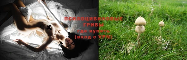 PSILOCYBIN Абдулино