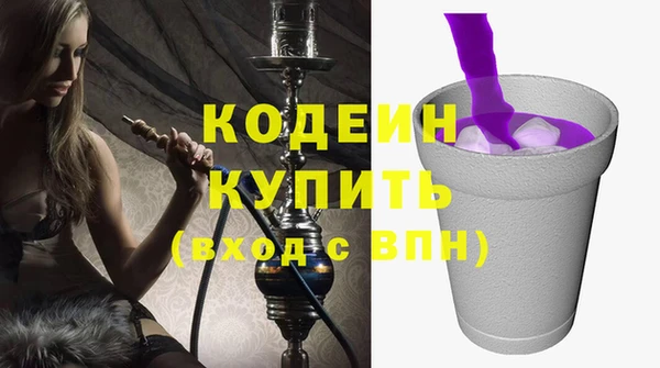 ECSTASY Алзамай